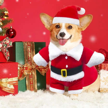 Santa Claus Costume for Pets